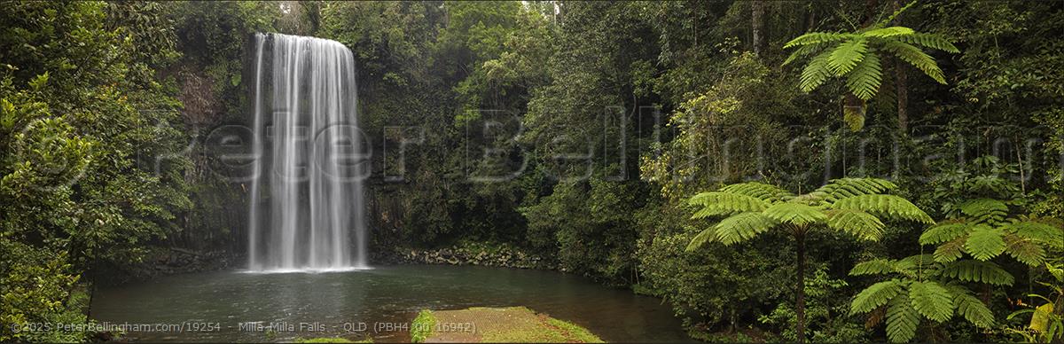 Peter Bellingham Photography Milla Milla Falls - QLD (PBH4 00 16942)